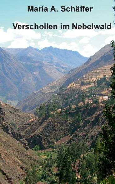 Verschollen im Nebelwald