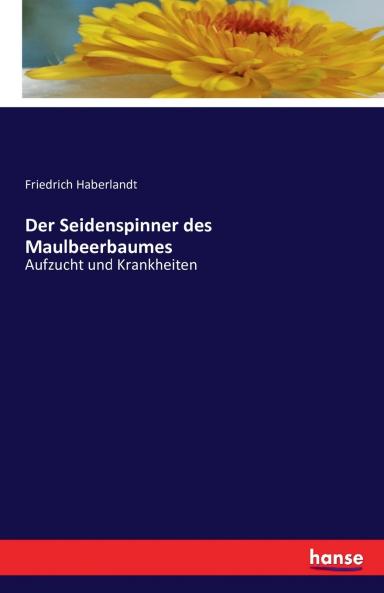 Der Seidenspinner des Maulbeerbaumes