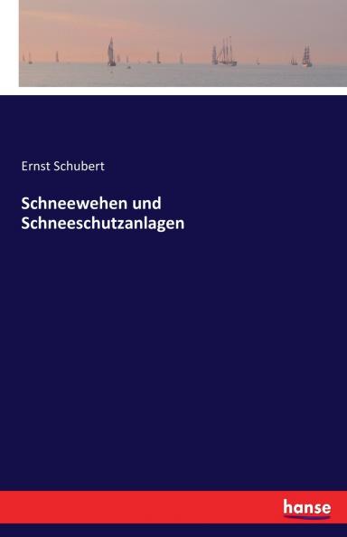 Schneewehen und Schneeschutzanlagen