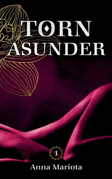Torn Asunder 1