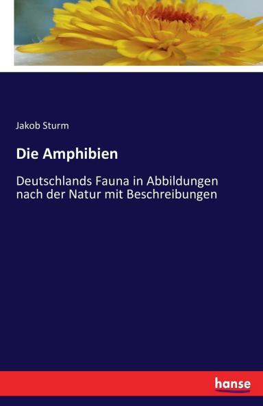 Die Amphibien
