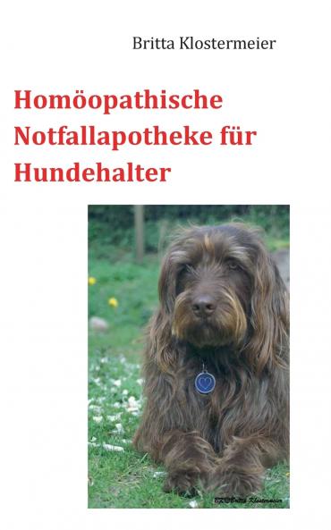Homöopathische Notfallapotheke für Hundehalter