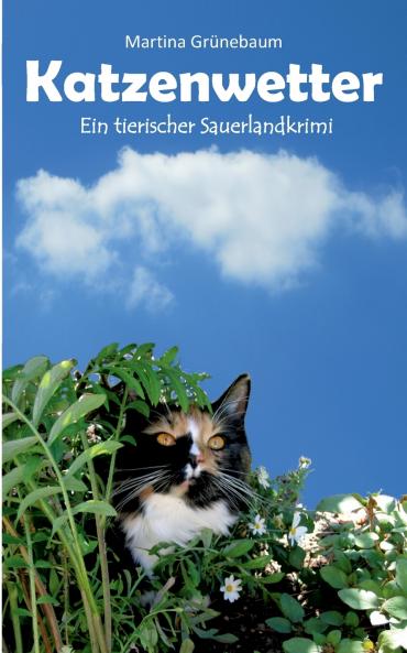 Katzenwetter