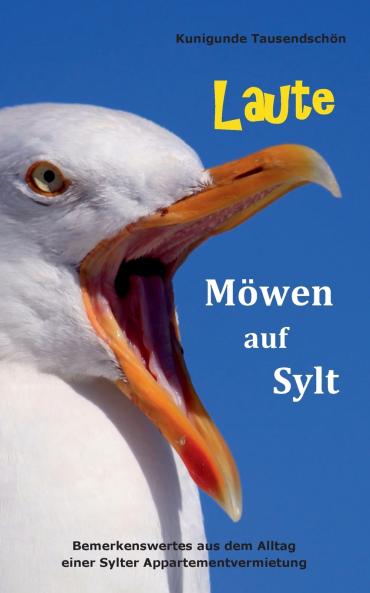 Laute Möwen auf Sylt