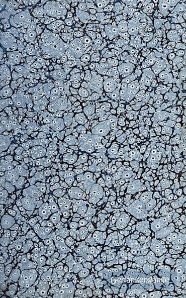 Gedankengänge (Notizbuch)