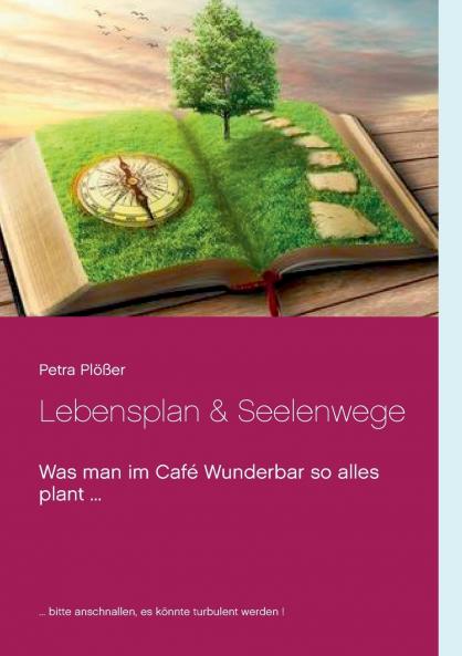 Lebensplan & Seelenwege