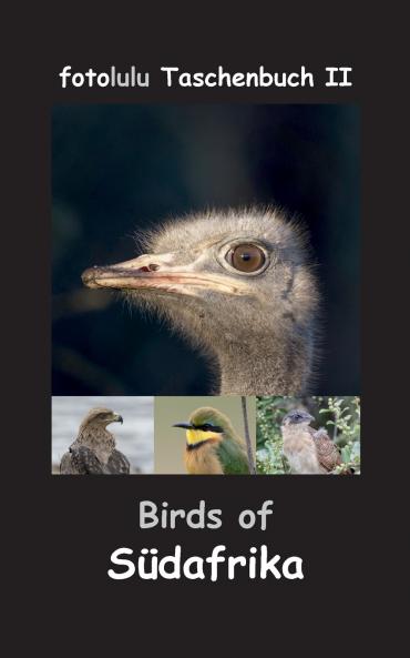 Birds of Südafrika