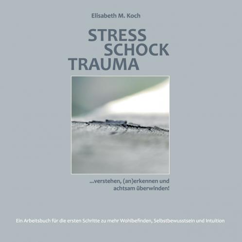 Stress Schock Trauma ... verstehen (an)erkennen und achtsam überwinden