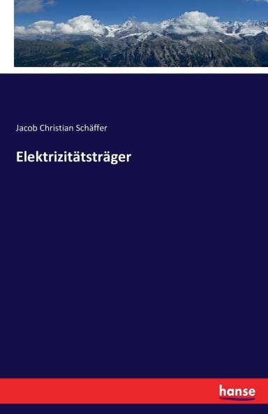 Elektrizitätsträger
