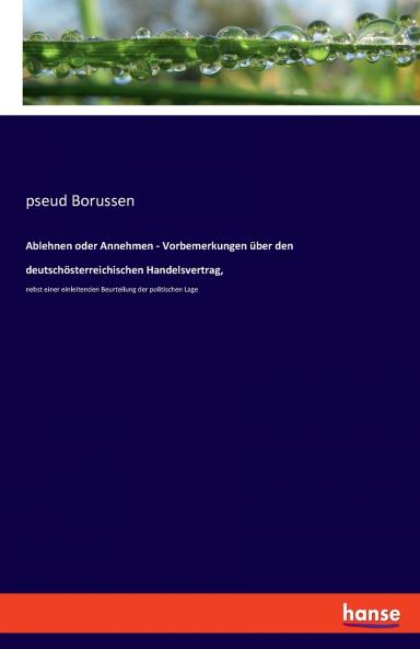 Ablehnen oder Annehmen - Vorbemerkungen über den deutschösterreichischen Handelsvertrag
