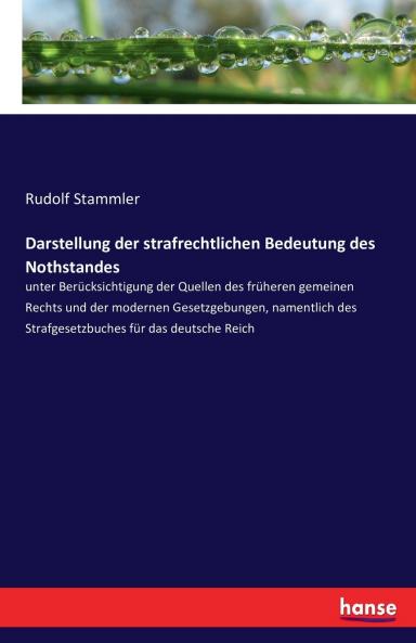 Darstellung der strafrechtlichen Bedeutung des Nothstandes