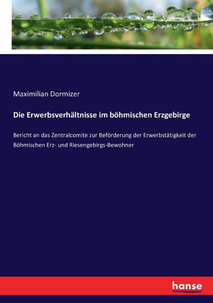 Die Erwerbsverhältnisse im böhmischen Erzgebirge