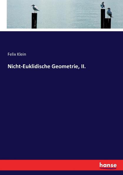 Nicht-Euklidische Geometrie II.