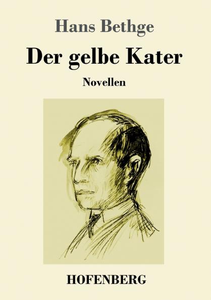 Der gelbe Kater
