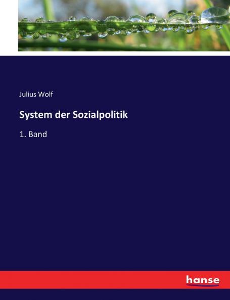 System der Sozialpolitik