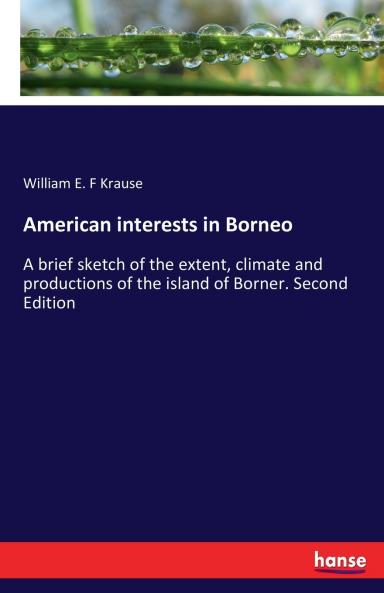 American interests in Borneo