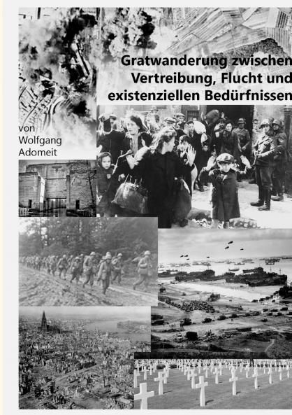 Gratwanderung zwischen Vertreibung Flucht und existentiellen Bed��rfnissen
