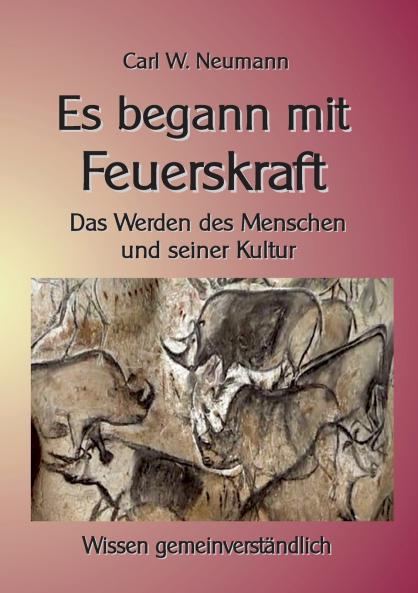 Es begann mit Feuerskraft