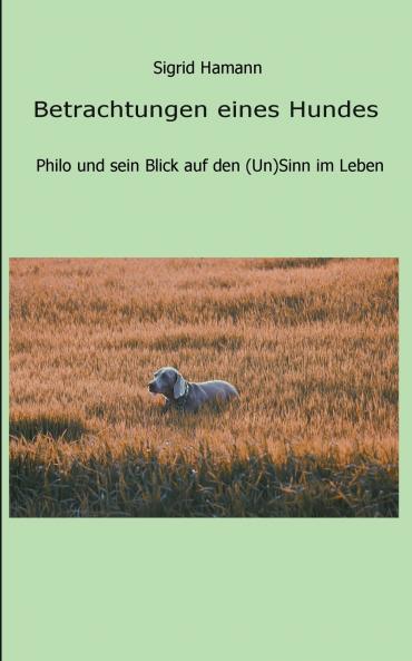 Betrachtungen eines Hundes
