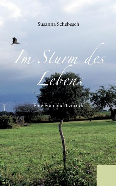 Im Sturm des Lebens