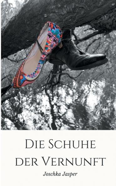 Die Schuhe der Vernunft