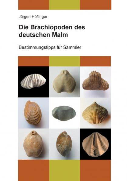 Die Brachiopoden des deutschen Malm