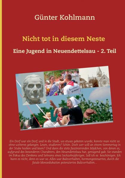 Nicht tot in diesem Neste. Zweiter Teil