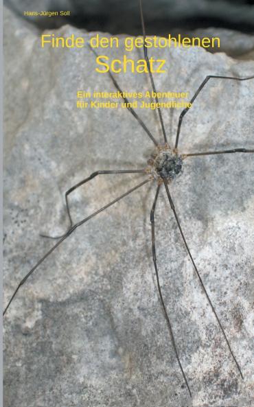 Finde den gestohlenen Schatz