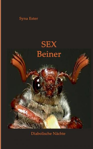 Sex Beiner