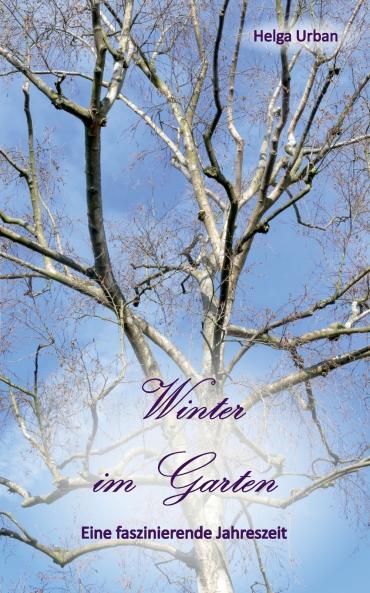 Winter im Garten