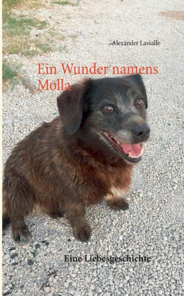 Ein Wunder namens Molla