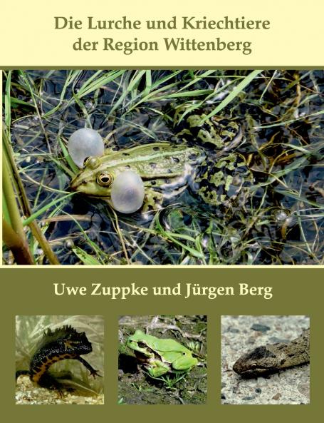 Die Lurche und Kriechtiere der Region Wittenberg