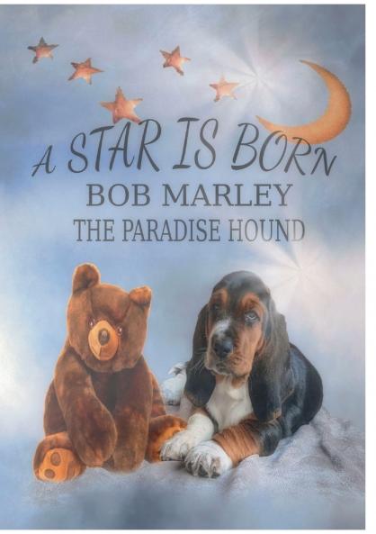 A Star is born - Bob Marley the Paradise Hound