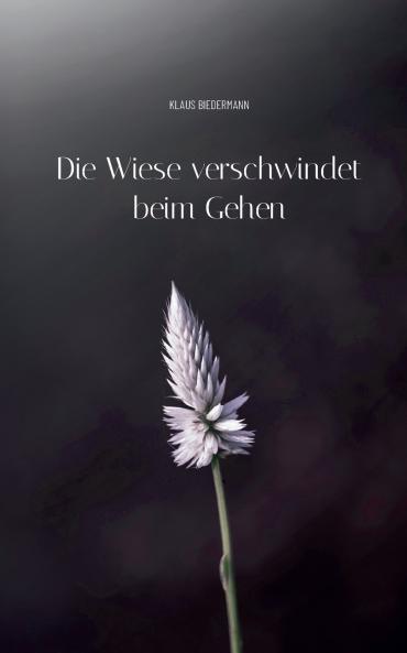 Die Wiese verschwindet beim Gehen