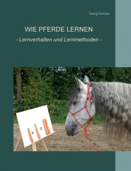 Wie Pferde lernen
