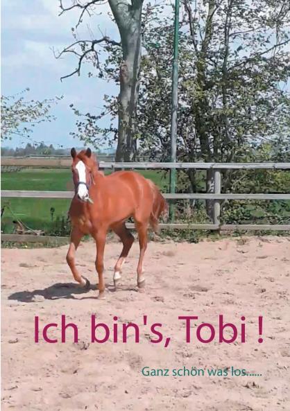 Ich bin's Tobi !
