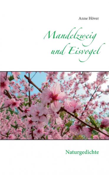 Mandelzweig und Eisvogel