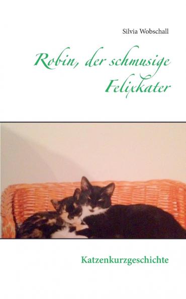 Robin der schmusige Felixkater