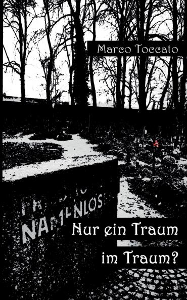 Nur ein Traum im Traum?