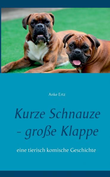 Kurze Schnauze - große Klappe
