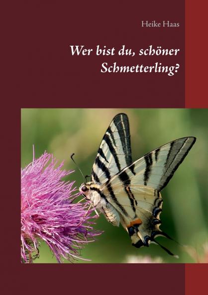 Wer bist du schöner Schmetterling?