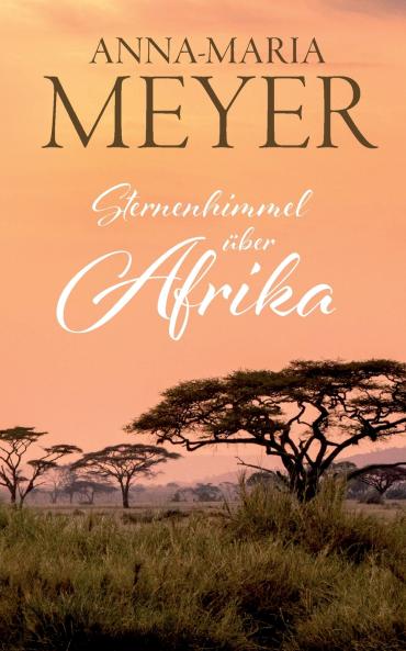 Sternenhimmel über Afrika