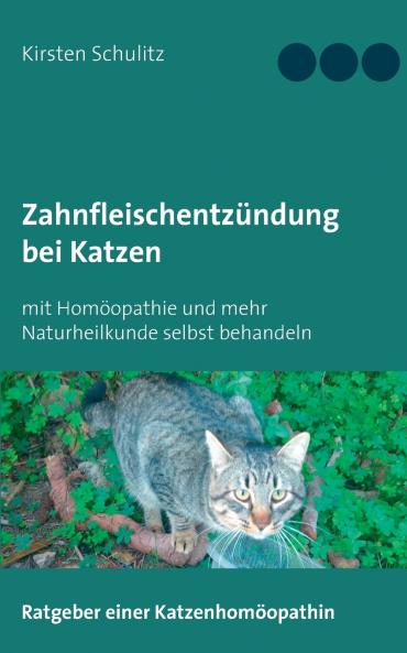 Zahnfleischentzündung bei Katzen