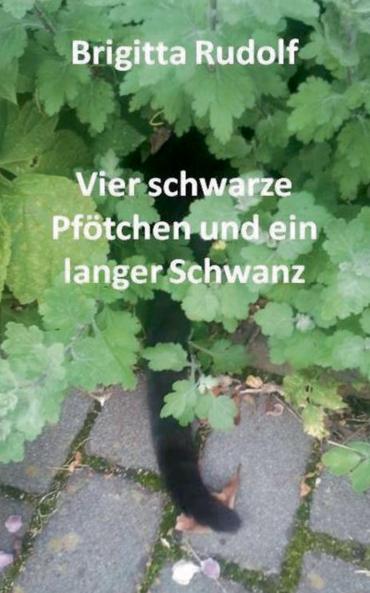 Vier schwarze Pf��tchen und ein langer Schwanz