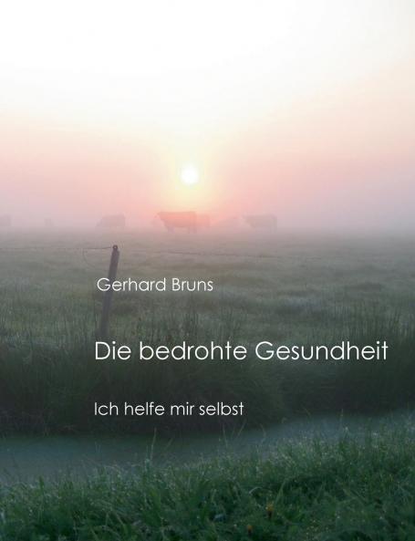 Die bedrohte Gesundheit