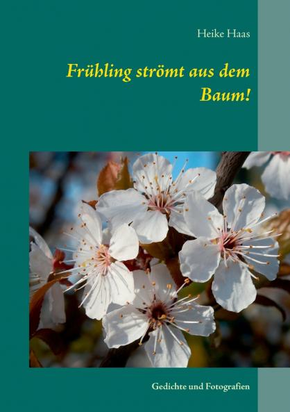 Frühling strömt aus dem Baum!
