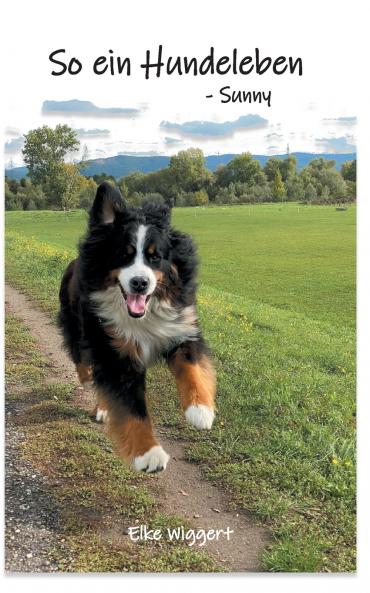 So ein Hundeleben
