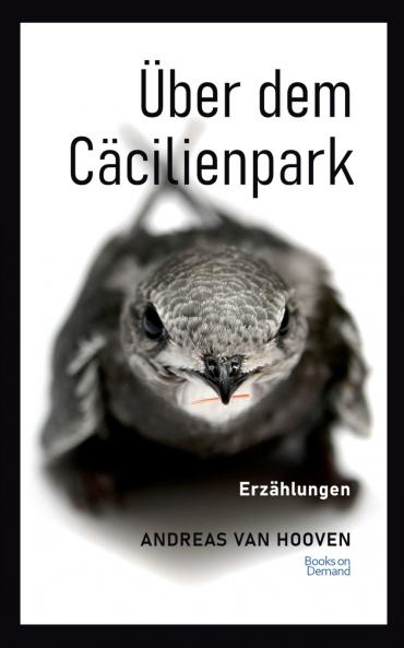 Über dem Cäcilienpark