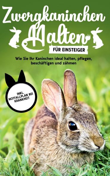 Zwergkaninchen halten für Einsteiger