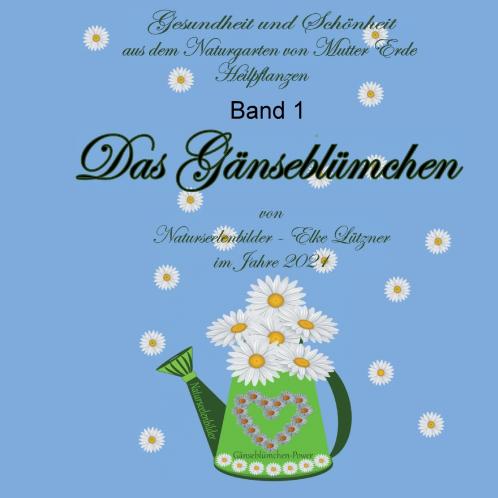 Das Gänseblümchen